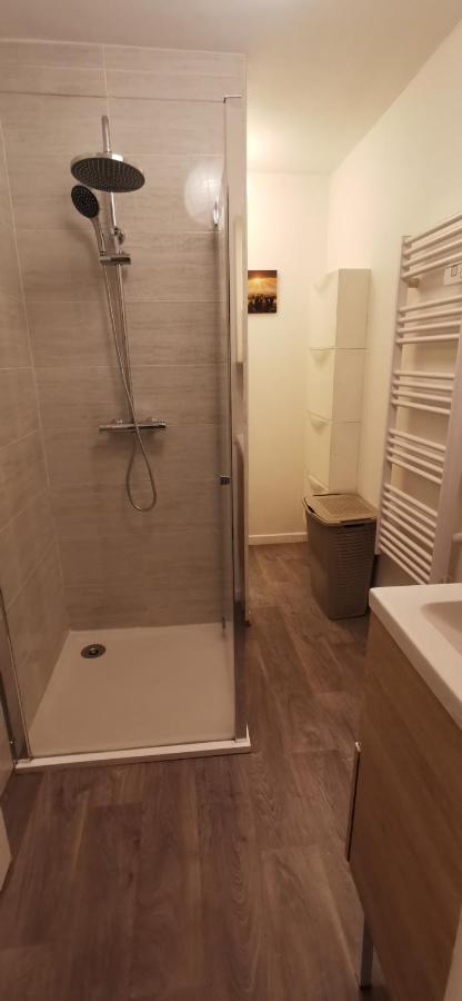 Appartement Cosy Proche Du Centre Ville De Macon H Extérieur photo